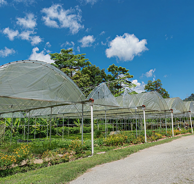 farm tour