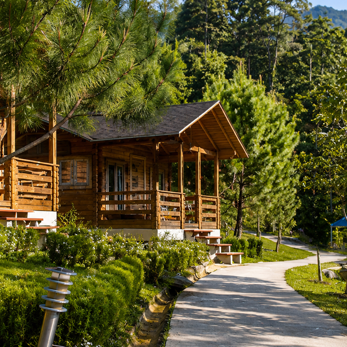pine wood cottage 05