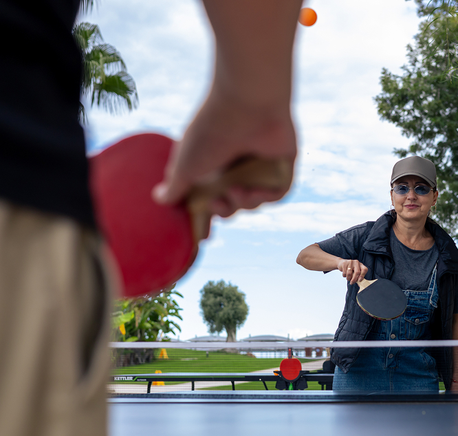 ping pong