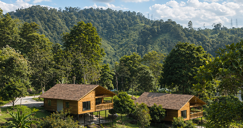premium cottages